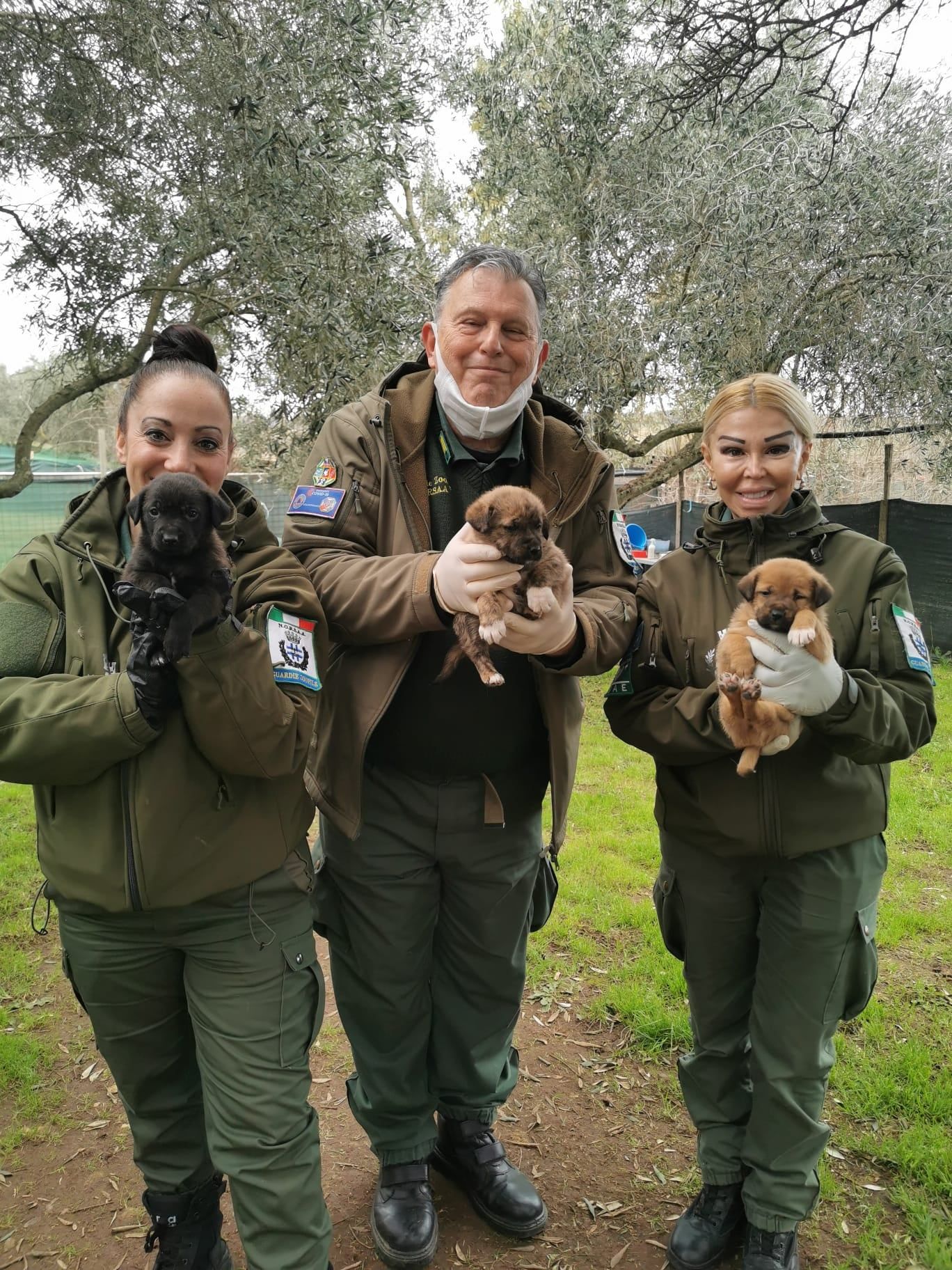 cuccioli castel romano