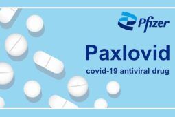 paxlovid