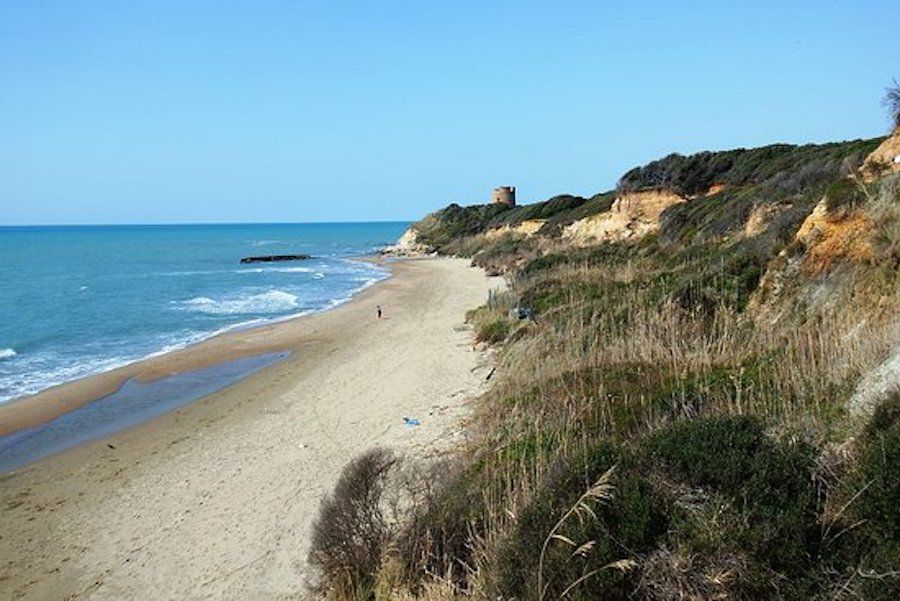 ritrovamento resti intestino spiaggia Anzio