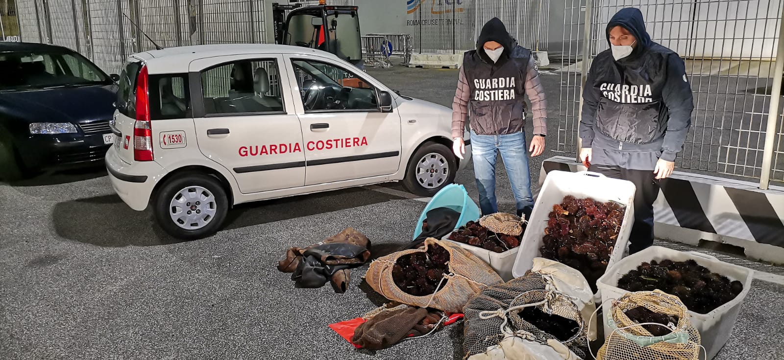 Pescatori di frodo nella ''rete'' della Guardia Costiera: scoperti con oltre 10.000 ricci di mare