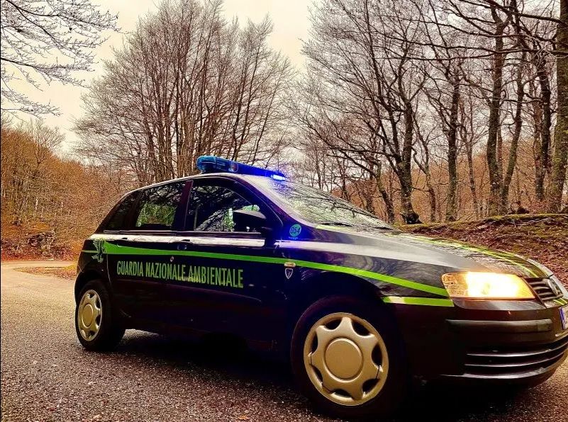Guardia Nazionale Ambientale