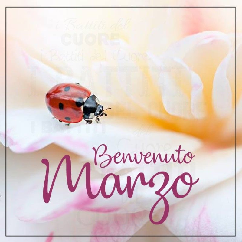 buon marzo