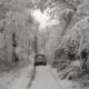 Neve Lazio