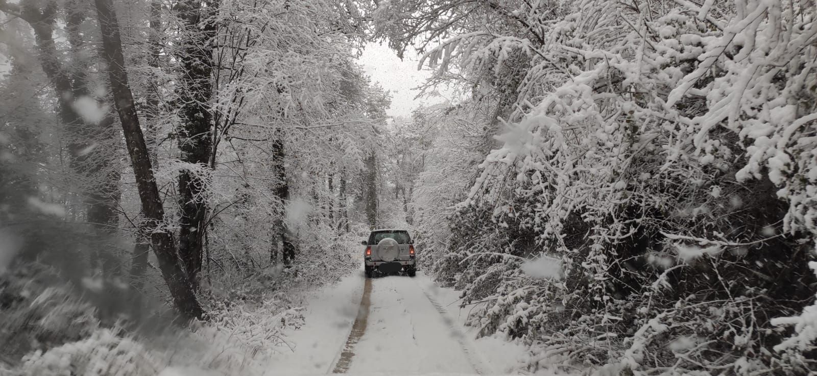 Neve Lazio