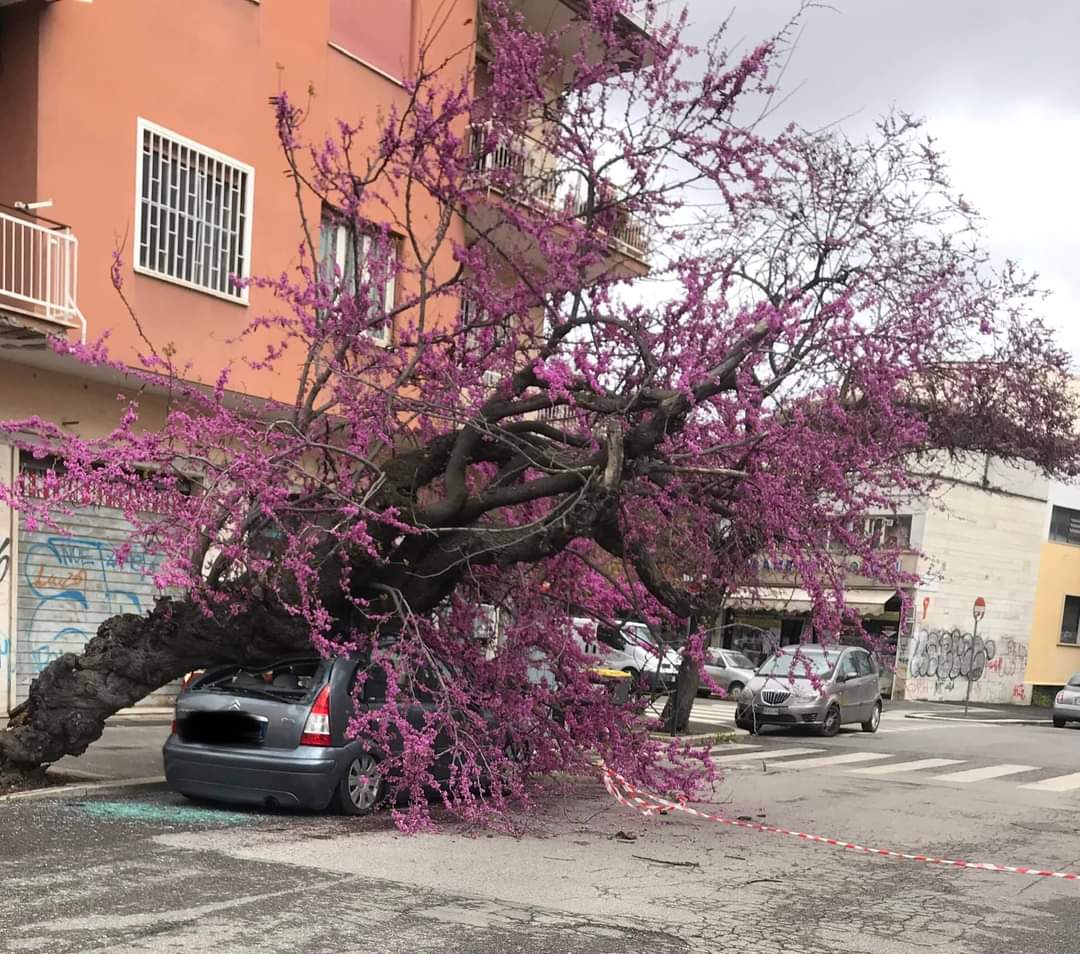 Dopo l'esultanza per il parcheggio, la mattina a Roma