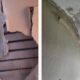 Crollo del tetto dell'aeroporto di Palermo