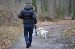 Trekking con il cane