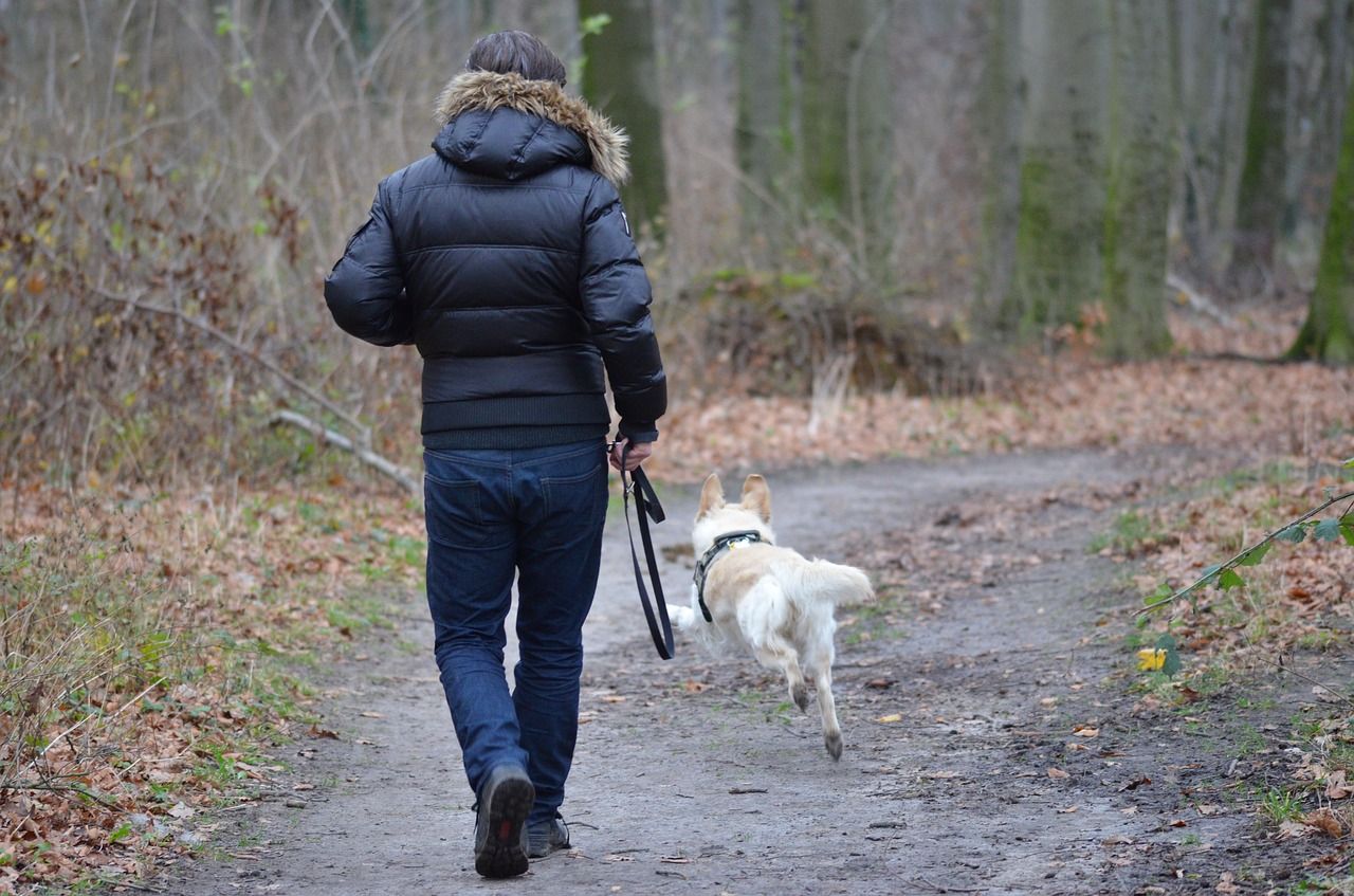 Trekking con il cane