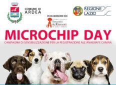 microchip Day Ardea
