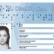 disability card