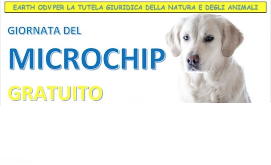 microchip gratuito a Roma