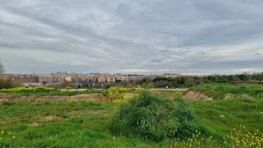 Stadio Roma Pietralata