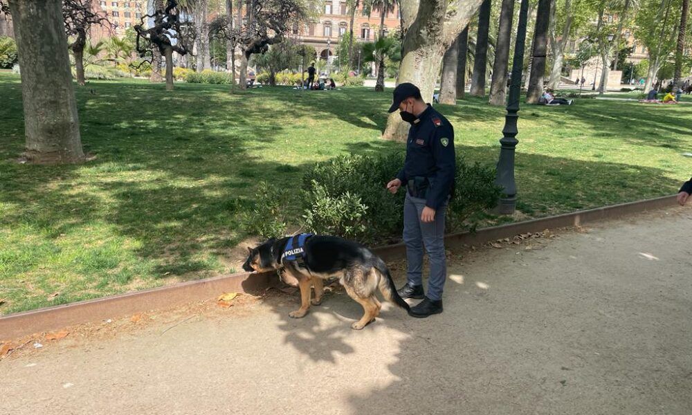 Controlli a tappeto in zona Celio e al Casilino della Polizia: in campo anche le unità cinofile antidroga Controlli a tappeto in zona Celio e al Casilino della Polizia: in campo anche le unità cinofile antidroga