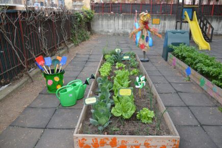 Orto botanico nelle scuole di Pomezia