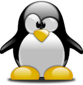 penguin videogioco