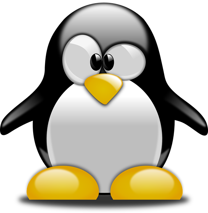 penguin videogioco