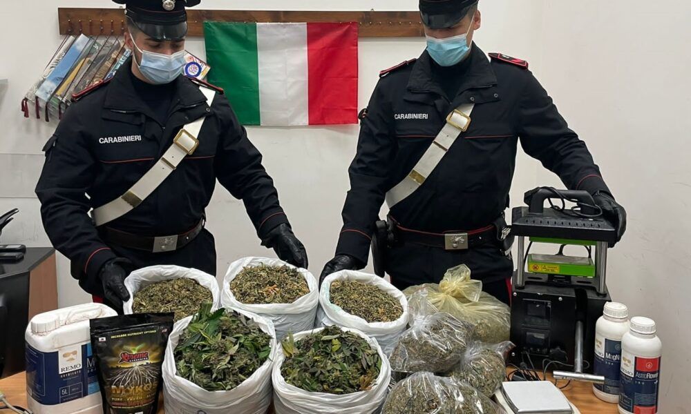 Carabinieri con la marijuana sequestrata a Castel Madama