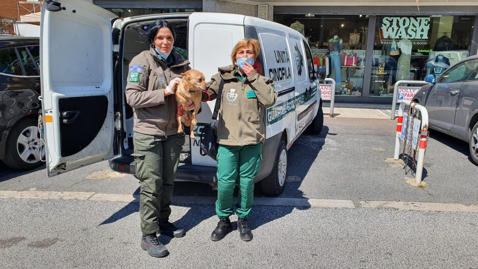 veterinari salvano cane