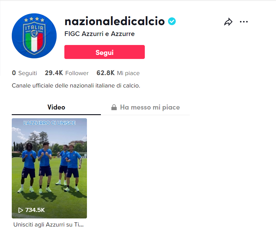 Azzurri su TikTok