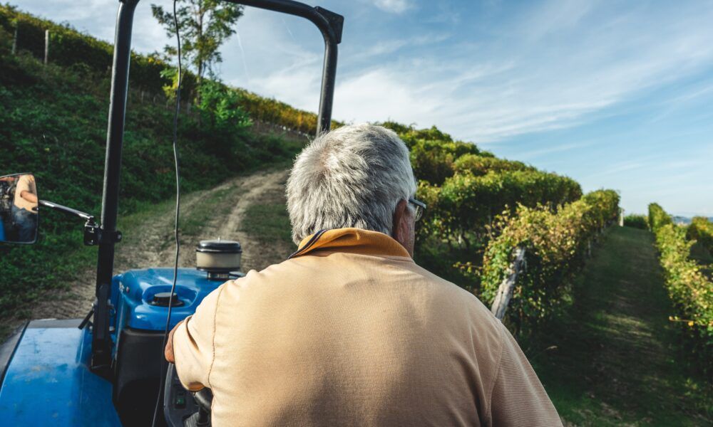 Bonus Agricoltura, incentivi fino a 50.000€: come funziona e come fare domanda Bonus Agricoltura, incentivi fino a 50.000€: come funziona e come fare domanda