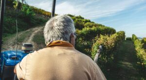 Bonus agricoltura: cos'è e a chi spetta