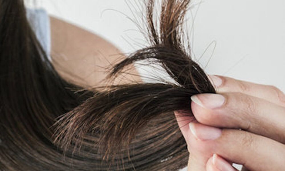 Capelli secchi e danneggiati, ecco i possibili rimedi Capelli secchi e danneggiati, ecco i possibili rimedi