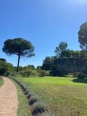 Giardino di Ninfa