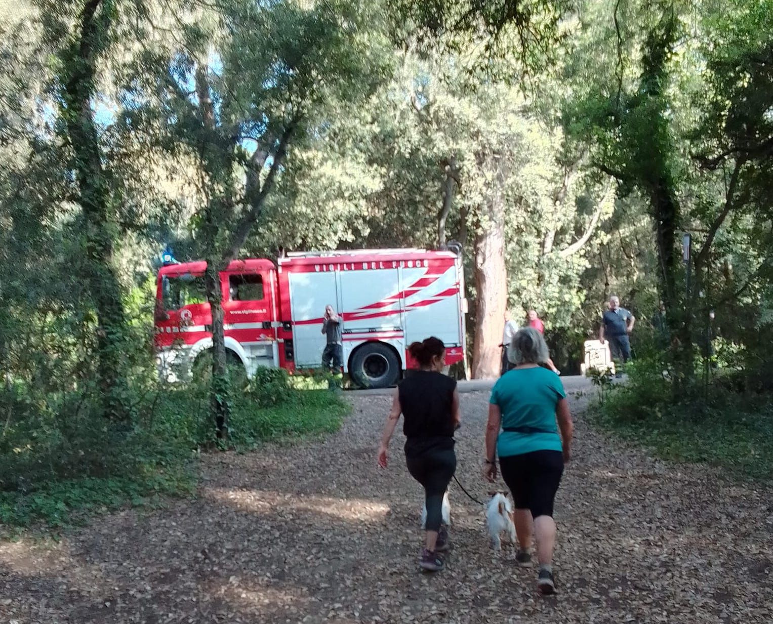 incendio Pineta Ostia