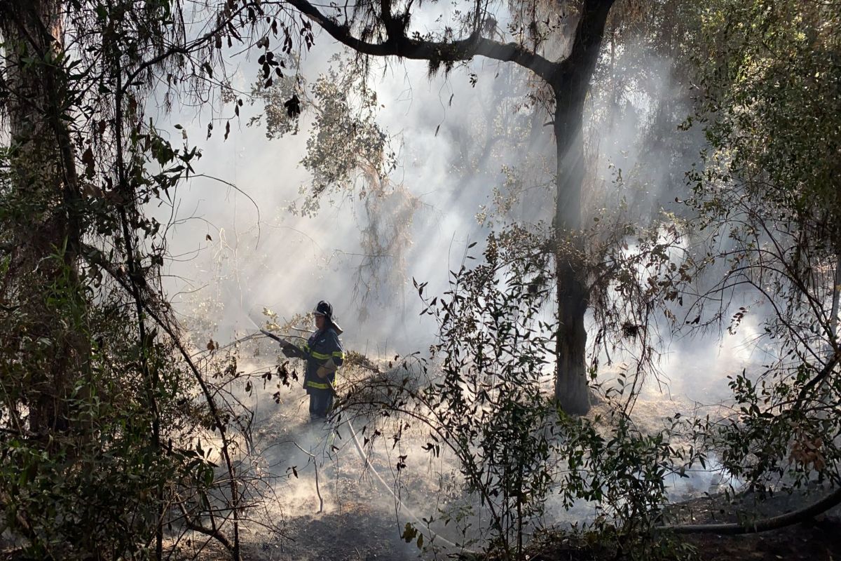 Incendio a Roma VVF