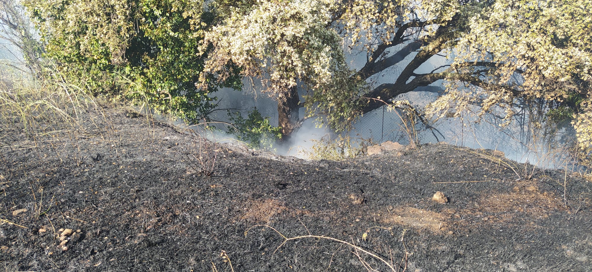 Incendio oggi a Roma