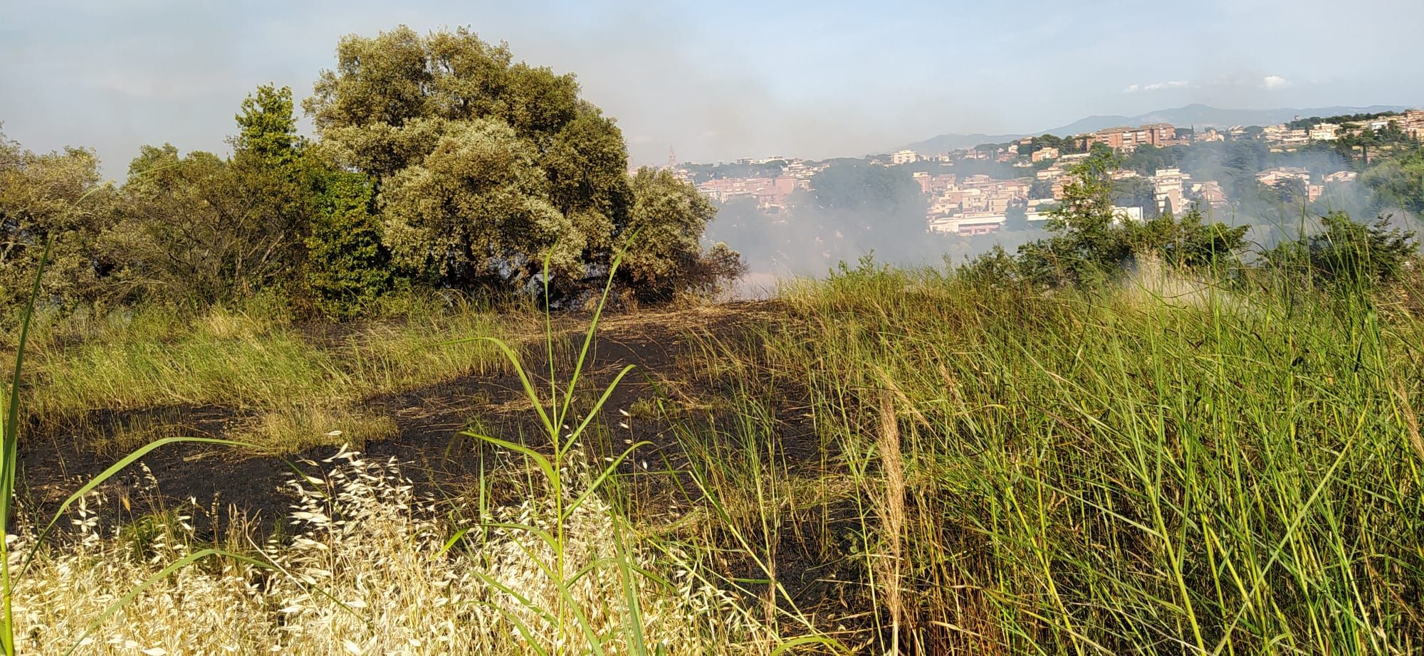 Oggi incendio a Roma