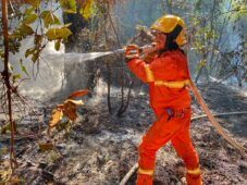 Ostia incendio pineta