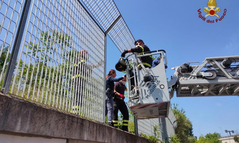 Roma, intervento dei Vigili del Fuoco