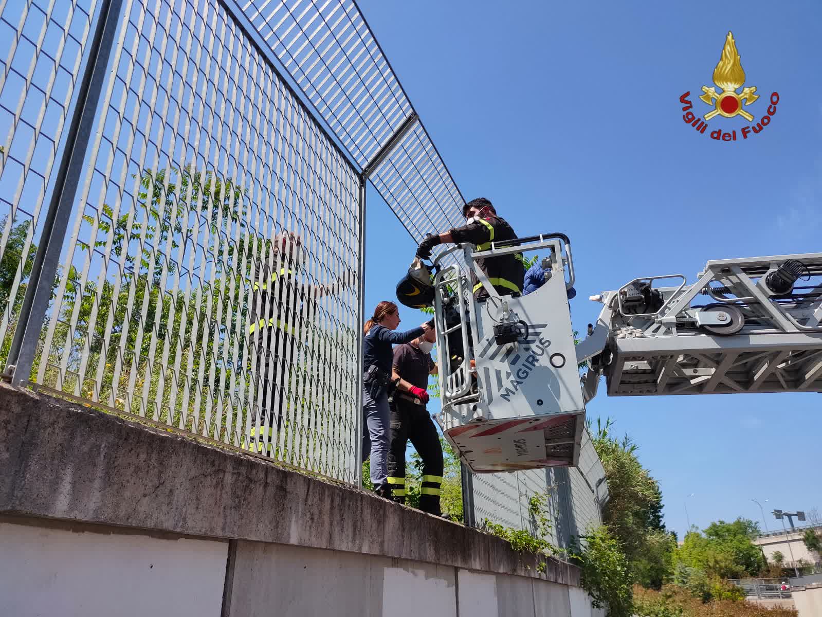 Roma, intervento dei Vigili del Fuoco