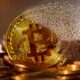 Bitcoin e criptovalute