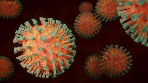 In foto il coronavirus che potrebbe far scatenare un'altra ondata