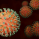 In foto il coronavirus che potrebbe far scatenare un'altra ondata