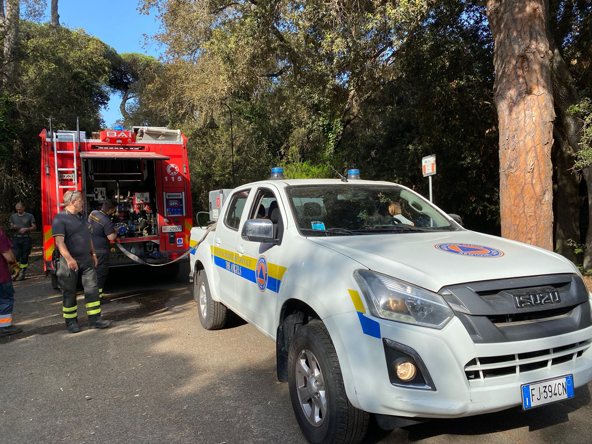 Ostia incendio pineta