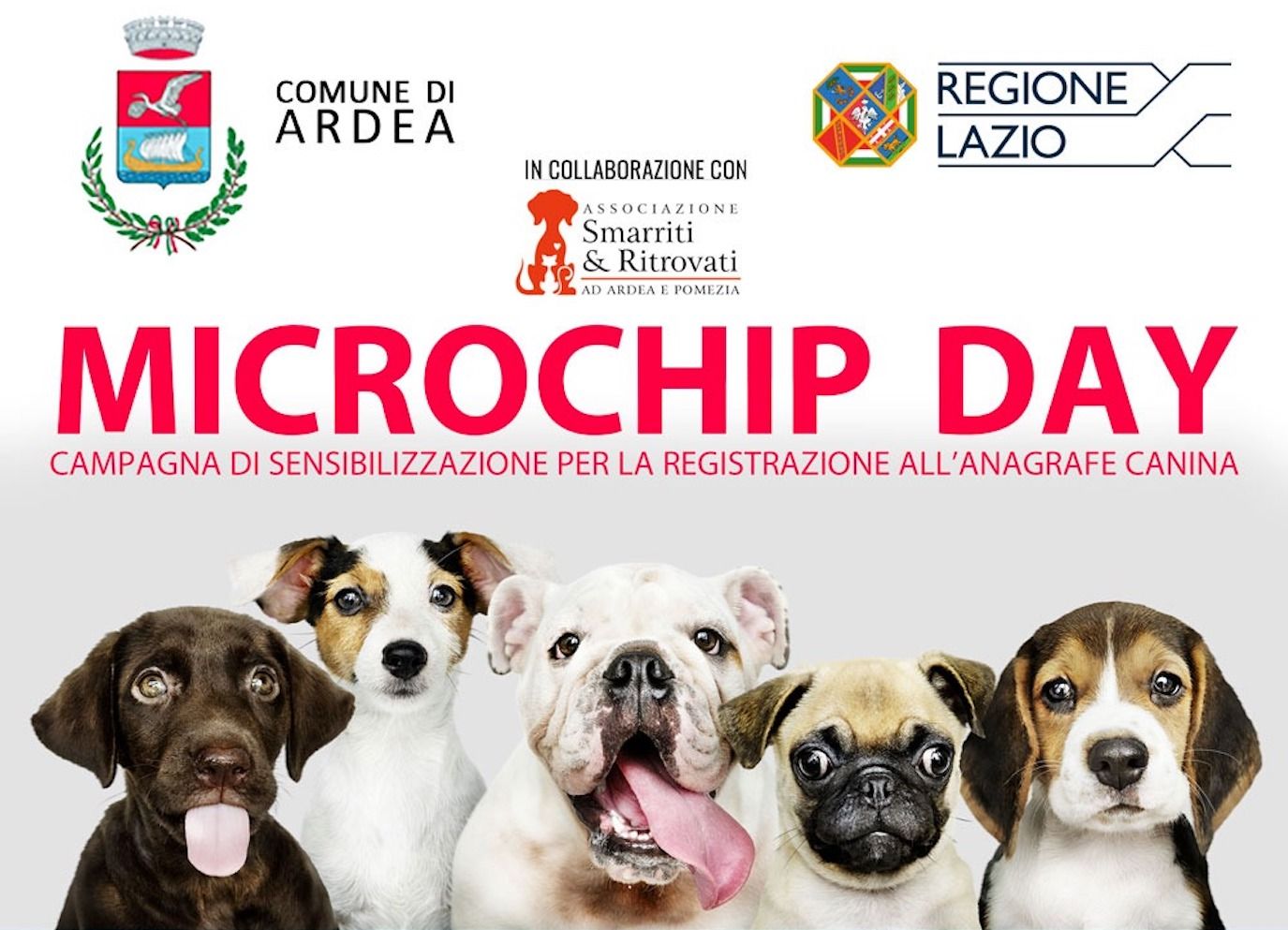 ardea microchip day