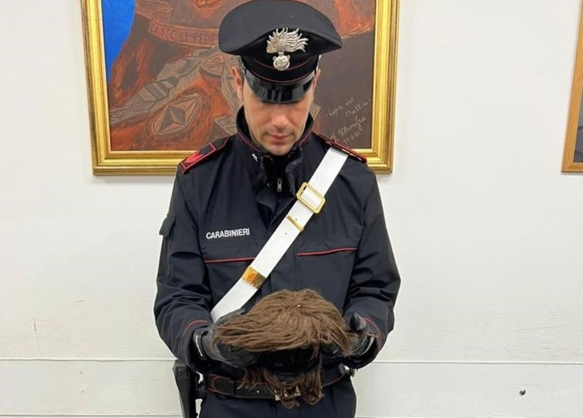 La parrucca che indossava il ladro che ha tentato la rapina nella metro di Roma