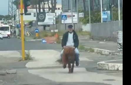 L'uomo che va in giro sul Pony a Roma