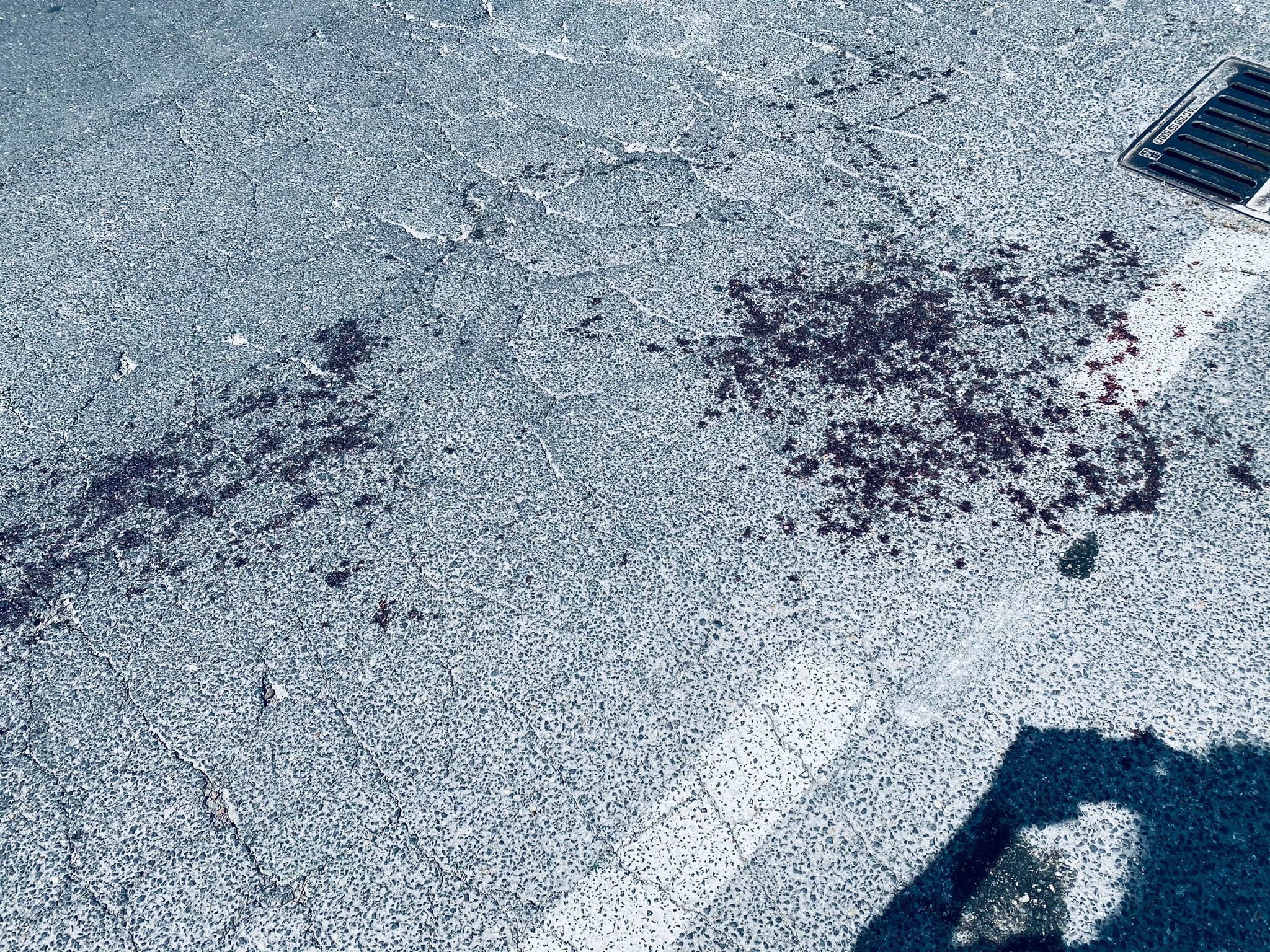 Sangue in strada a Torvaianica dopo il tentato omicidio a Campo Ascolano