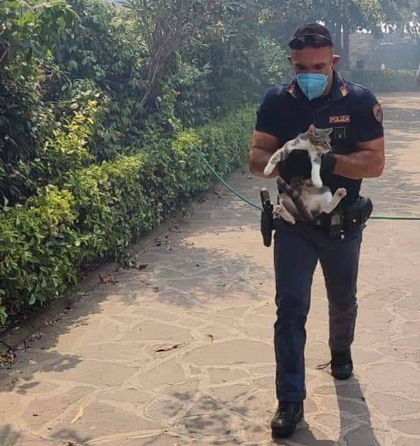 Cani salvati dall'incendio di lunedì 27 giugno