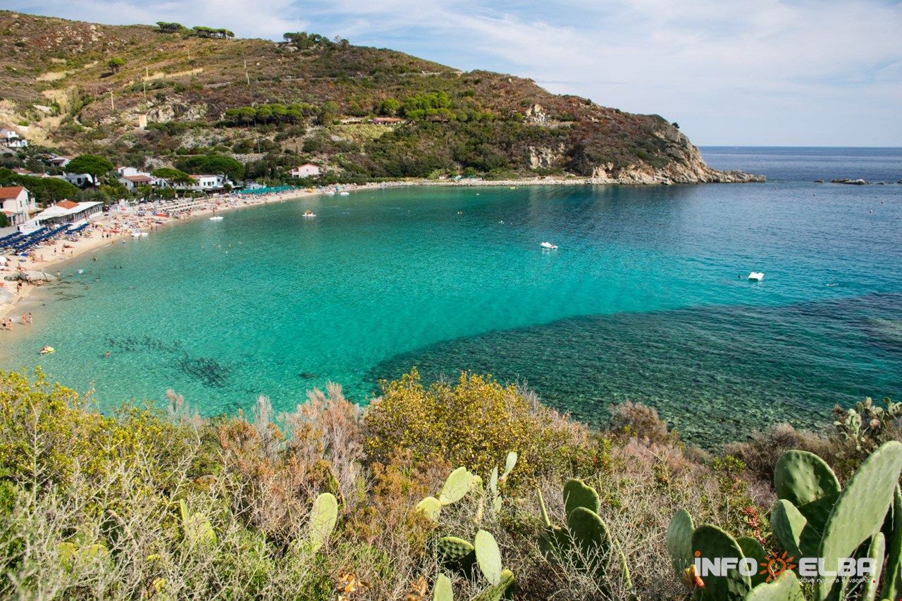 Cavoli Isola d'Elba