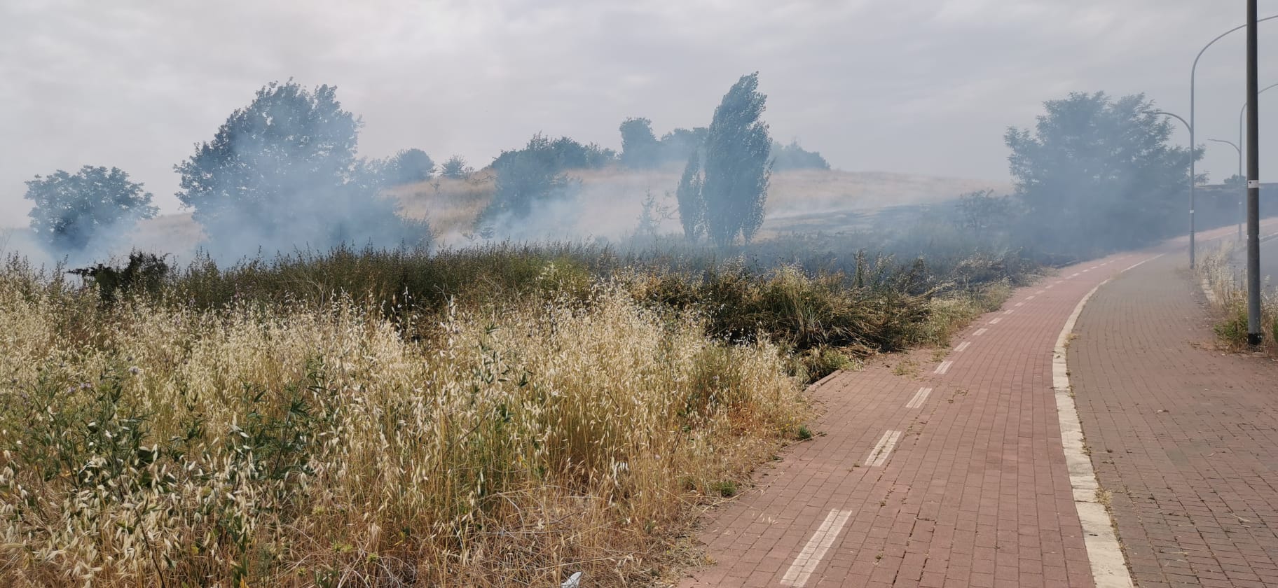 Incendio a Parco delle Sabine