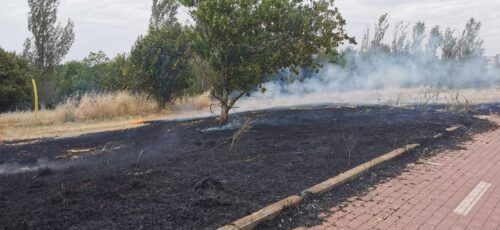 incendio Parco delle Sabine