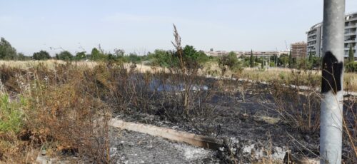 incendio Parco delle Sabine