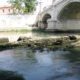 Ponte Trionfale