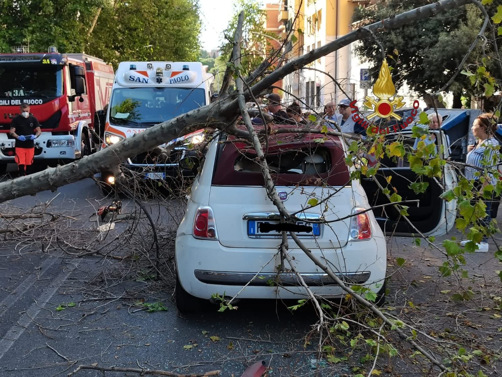 Albero caduto su un auto, intervento dei Vigili del Fuoco