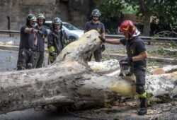 Albero caduto e intervento dei Vigili del Fuoco sulla Cristoforo Colombo